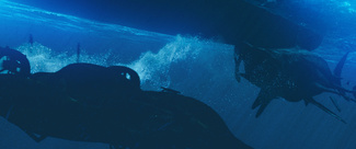 The Meg